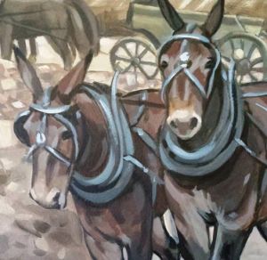donkeys